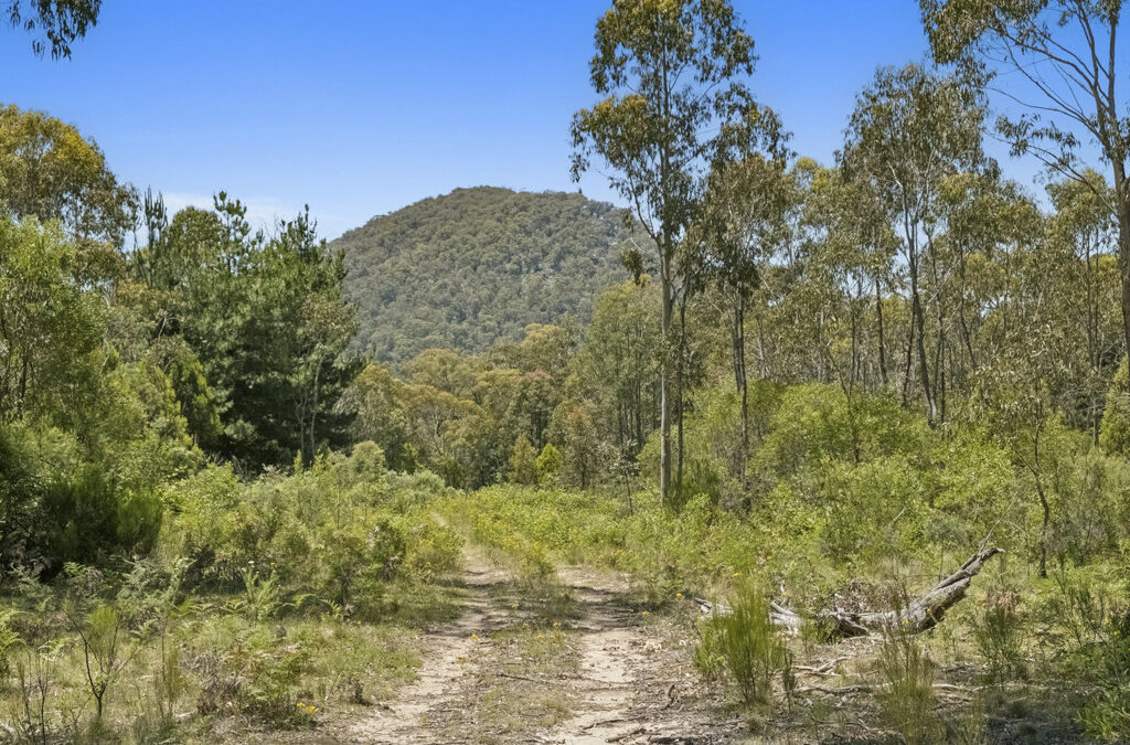 321 Log Bridge Creek Rd, Wee Jasper