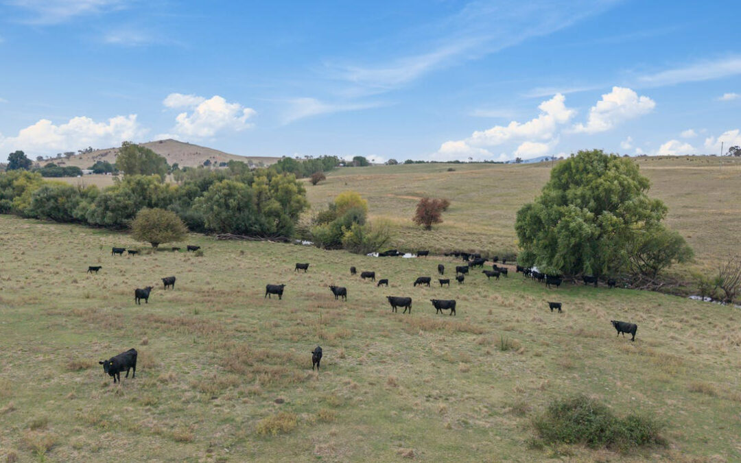 15 & 16 Barton Highway, Murrumbateman